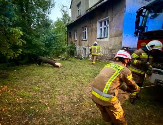 Porywisty wiatr łamał drzewa. Strażacy mieli pełne ręce roboty