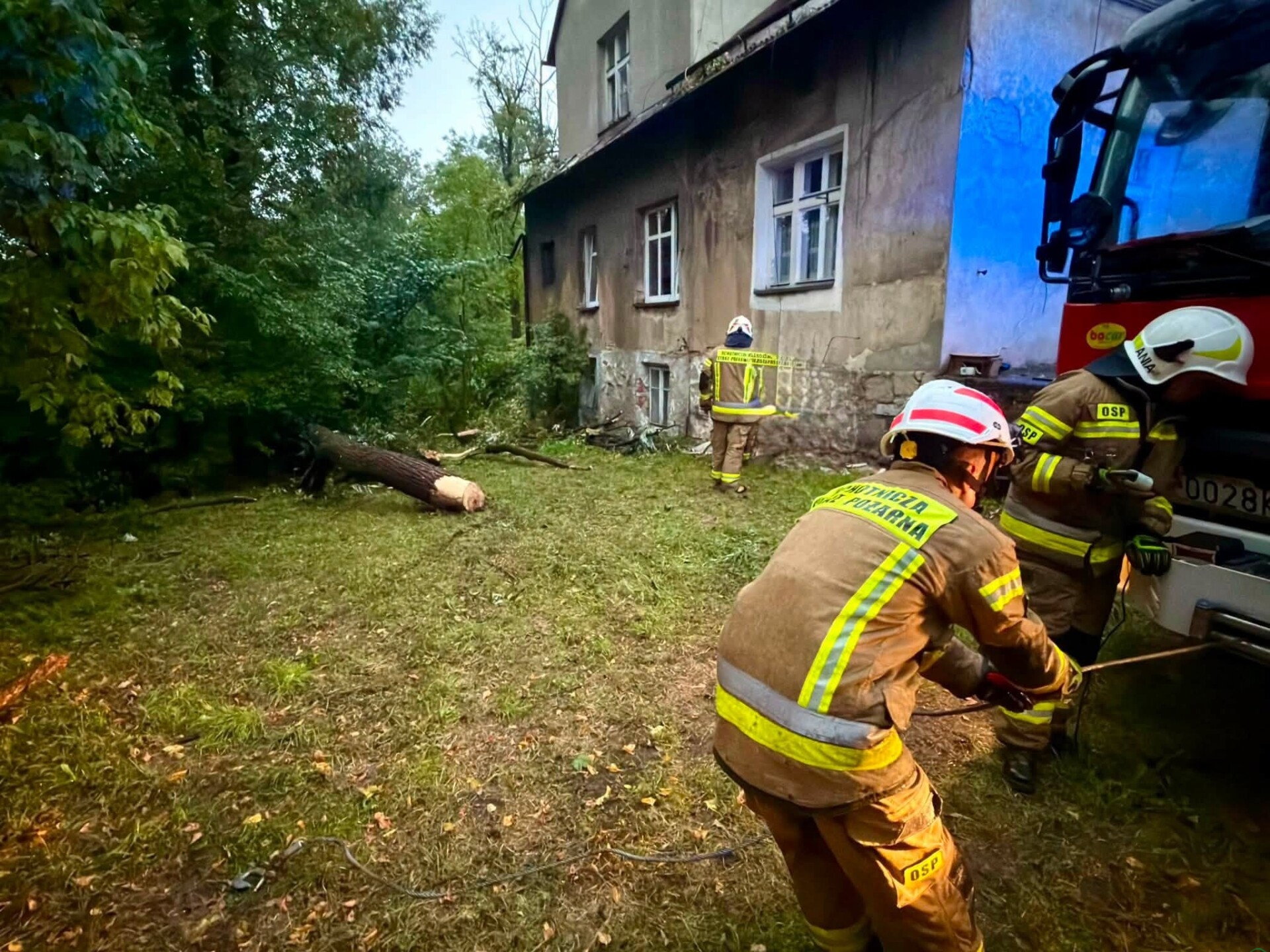 Porywisty wiatr łamał drzewa. Strażacy mieli pełne ręce roboty