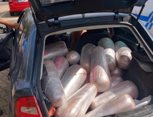 Ponad 600 kilogramów kebabu bez chłodzenia. Celnicy odkryli transport niezgodny z normami