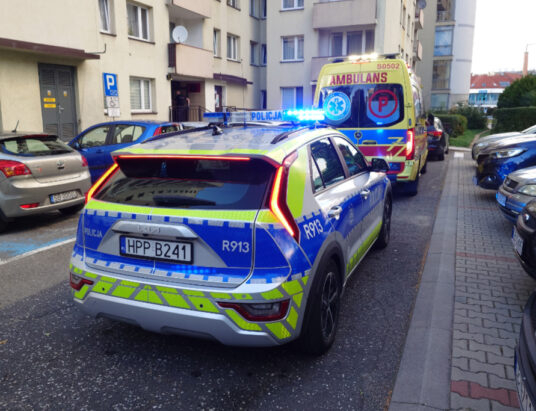 Był pijany i w mieszkaniu zachowywał się irracjonalnie. Wezwano służby