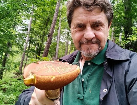 Wielkie Grzybobranie w Porąbce!