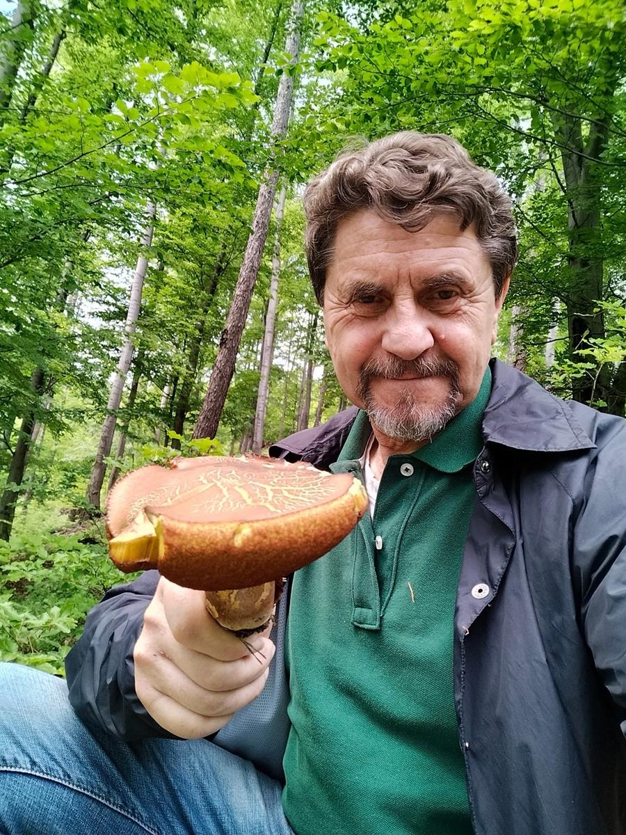 Wielkie Grzybobranie w Porąbce!