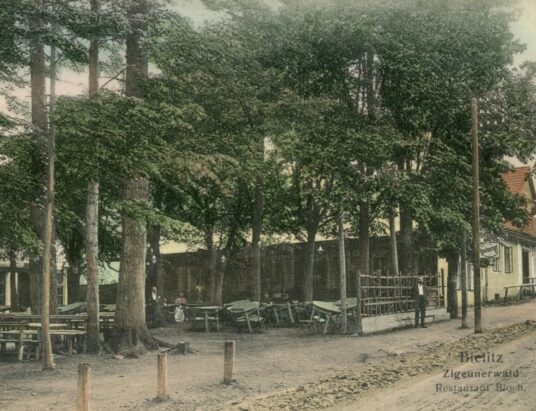 Cygański Las. Historia jednej z najpiękniejszych części Bielska-Białej