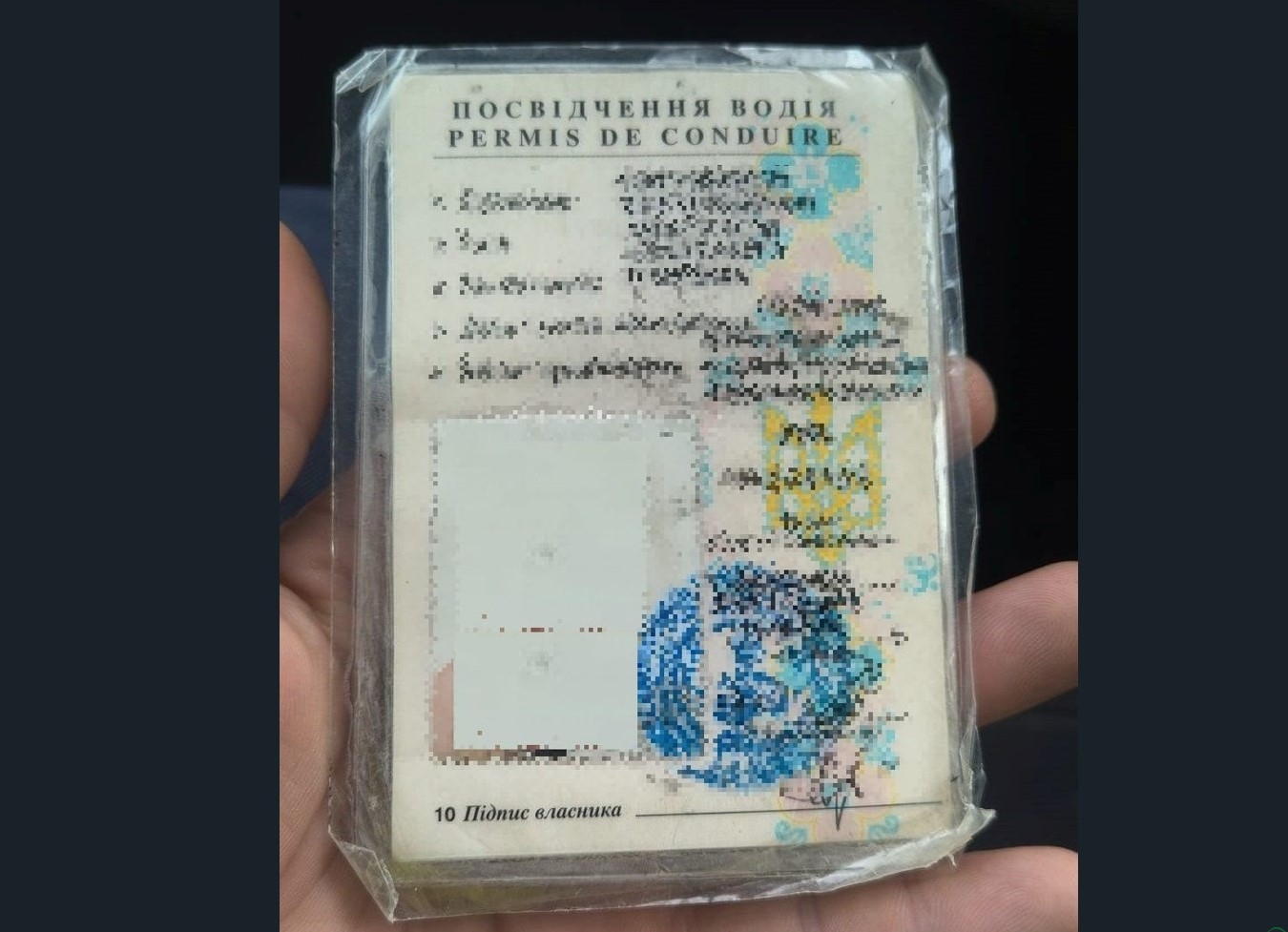 Ukrainka wyciągnęła fałszywe „prawko”. Drogówka nie dała się nabrać