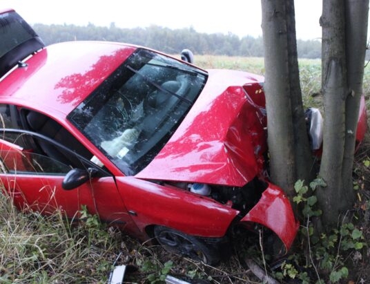 Seat uderzył w drzewo. Kierowca bez uprawnień i po narkotykach! ZDJĘCIA