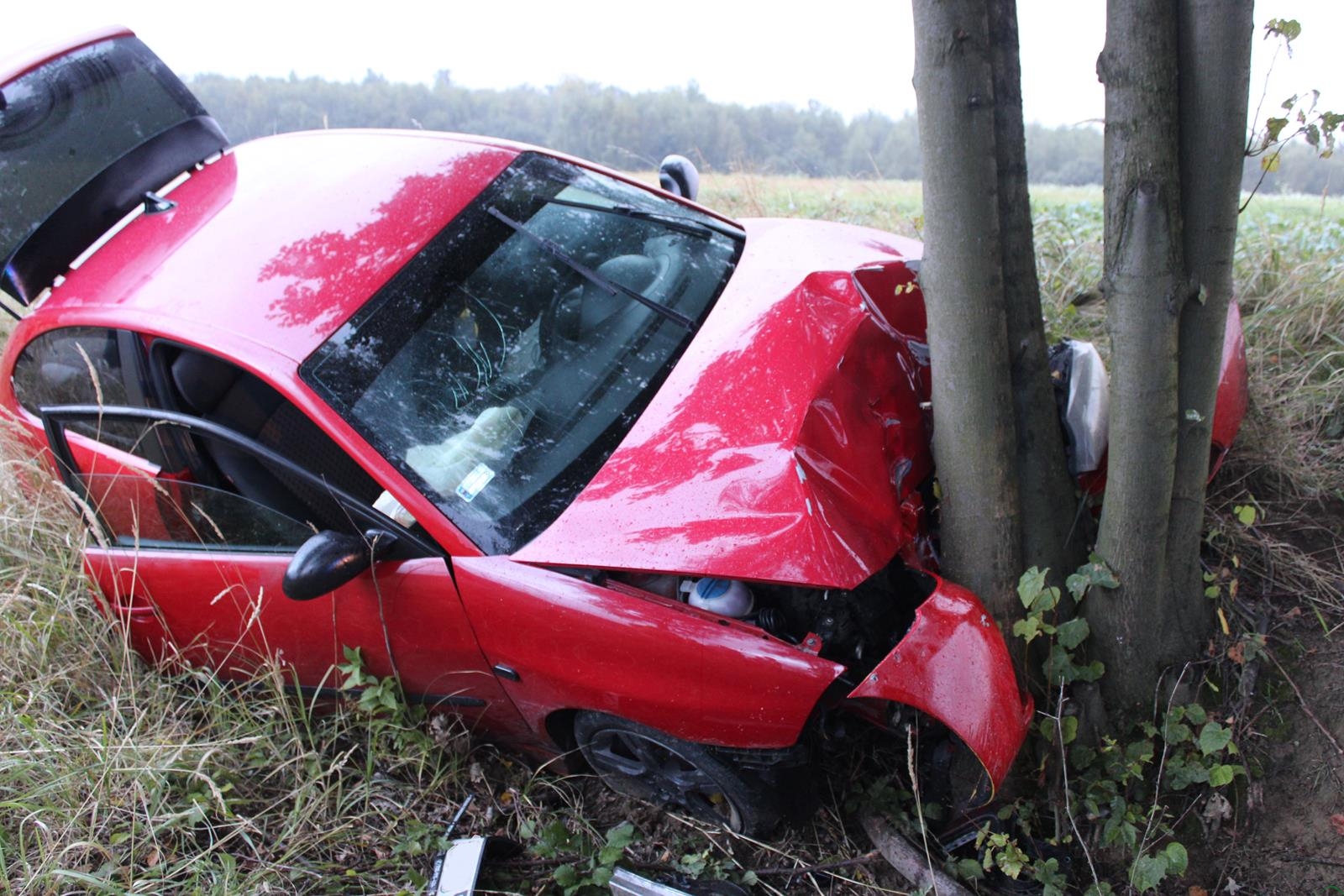 Seat uderzył w drzewo. Kierowca bez uprawnień i po narkotykach! – ZDJĘCIA