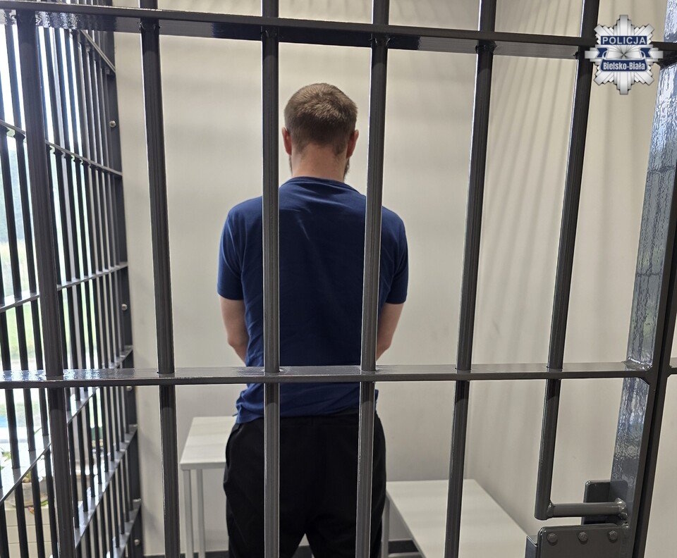 Nie mieli litości. Dwaj bracia odpowiedzą za brutalny napad