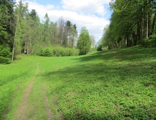 Czy gmina przejmie park w Kamesznicy?