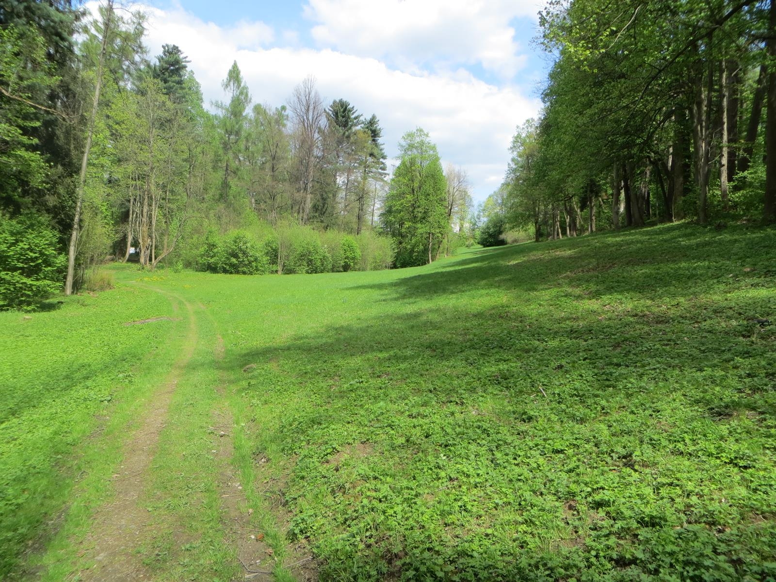 Czy gmina przejmie park w Kamesznicy?