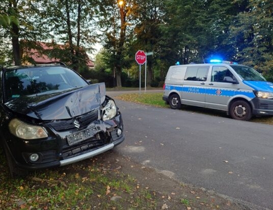 Samochodowe domino na Górskiej