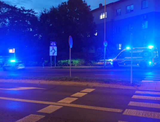 Nietrzeźwi awanturowali się w ambulansach. Była potrzebna eskorta policji