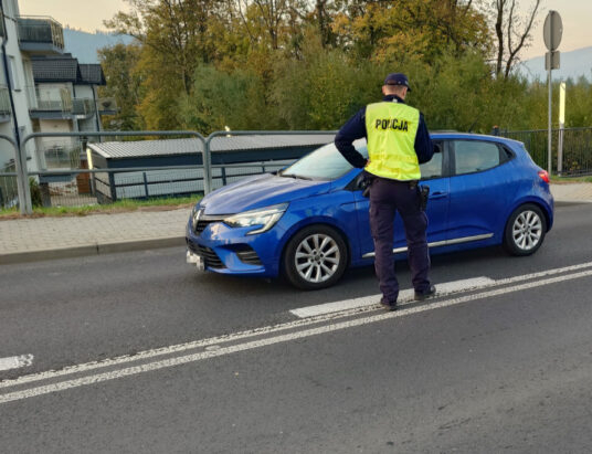 „Dzień dobry, kontrola trzeźwości”. Rekordziści mieli ponad dwa promile | ZDJĘCIA