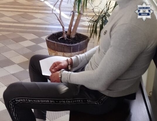 Rozbój w Cieszynie. Zabrali ofiarom 27 zł