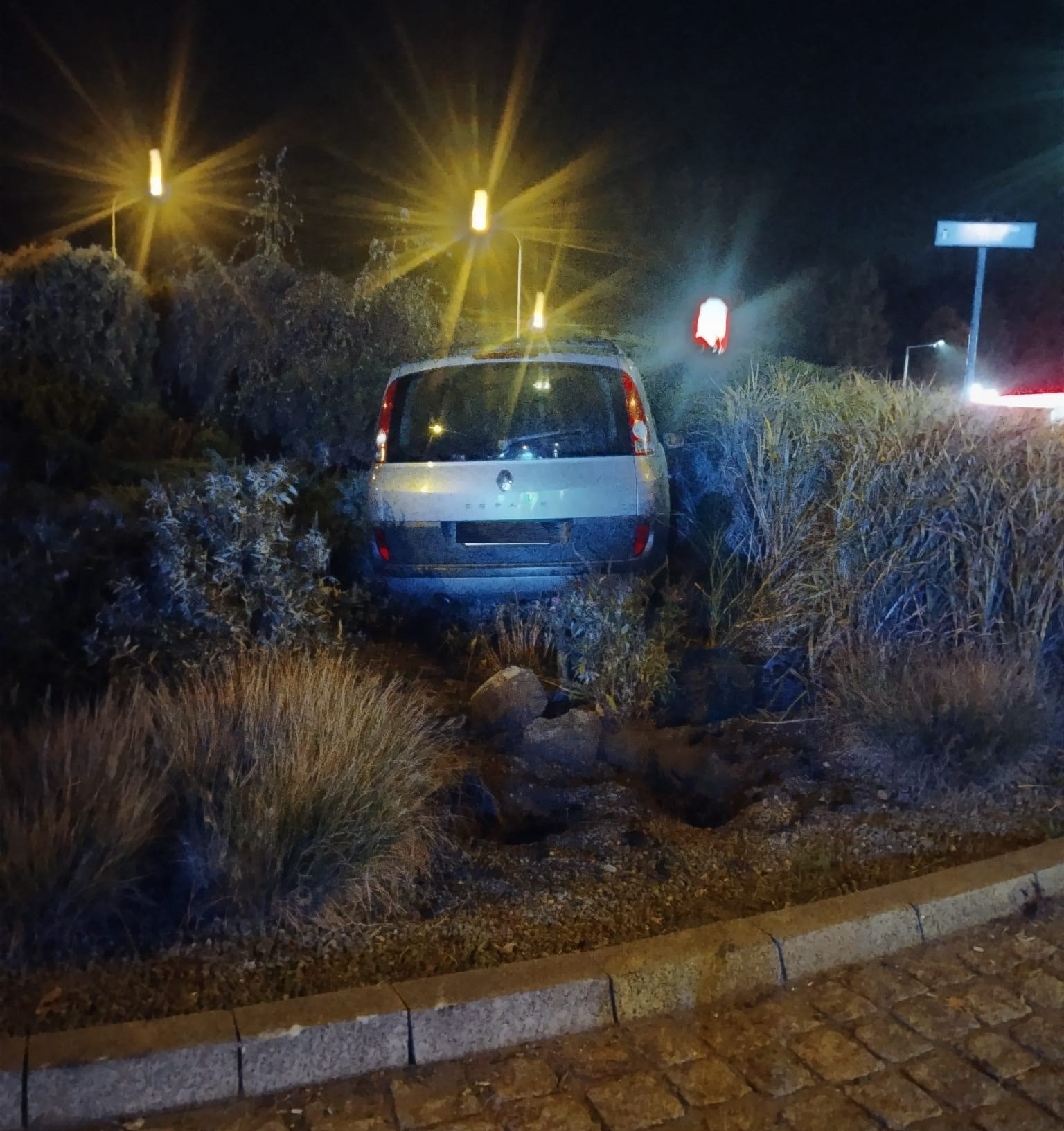 Zalany w trupa wjechał w krzewy na środku ronda