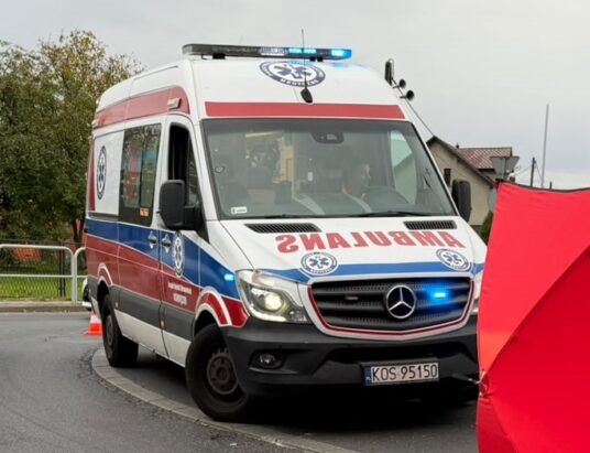 Dramat na pasach. 65-latka zginęła pod kołami ciężarówki