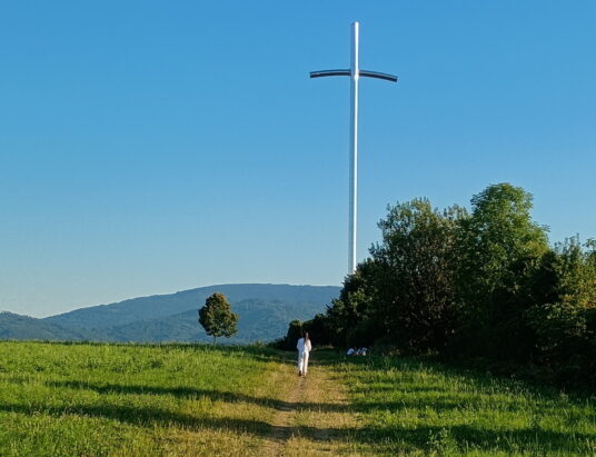 60 propozycji i 10 milionów złotych. Ruszyło głosowanie w ramach budżetu obywatelskiego