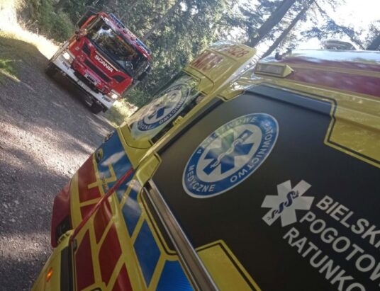 Podczas zbierania grzybów złamał nogę. Sprawna akcja ratowników i strażaków