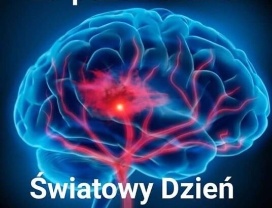 Udar – liczy się każda minuta, a potem każdy krok
