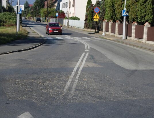 Jest nadzieja dla Leśnianki w Żywcu